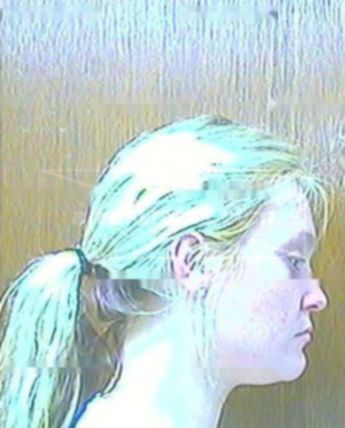 Shannon C Hayward