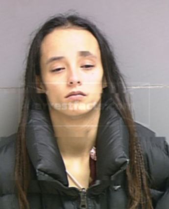 Holly Lenore Lowe