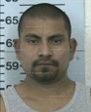 Alex Roy Hernandez