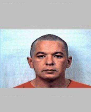 Gregory P Stephens