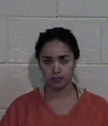 Andrea Alicia Longoria Morales