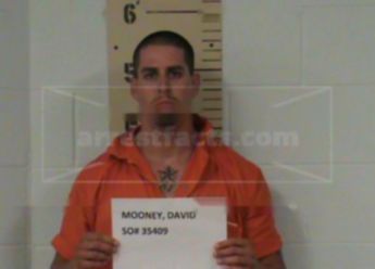 David Mooney