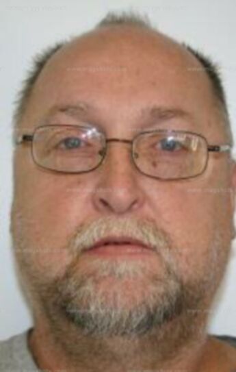 Walter J Hayes