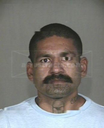 Freddie Alarcon