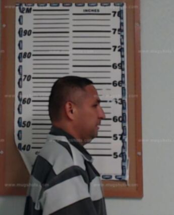 Ely Aleman Pecina