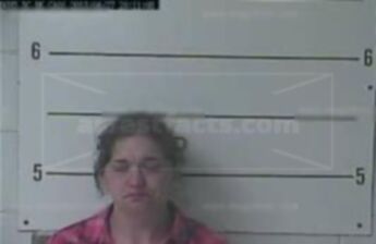 Allison M Robinette