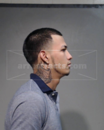 Julian Sespedes Estrada