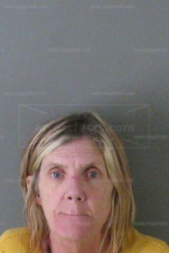 Robin Lane Powell