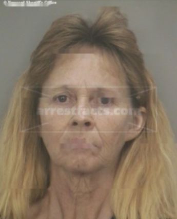 Debra Elaine Johnson