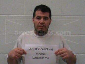Miguel Sanchez-Cardenas