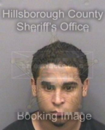 Leonardo Rachit Safe