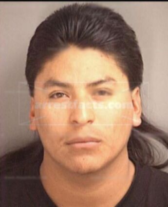 Martin S Arreola
