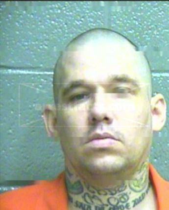 Matthew B Vogt