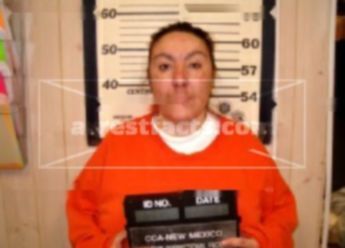 Amy Felicia Martinez