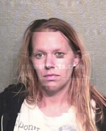 Kerry Lynn Allement