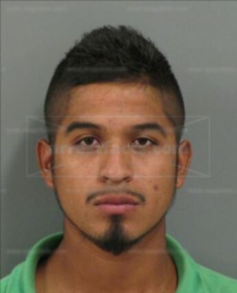 Delfino Ortiz