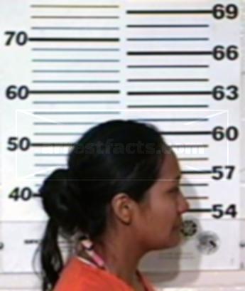 Modesta Llanas