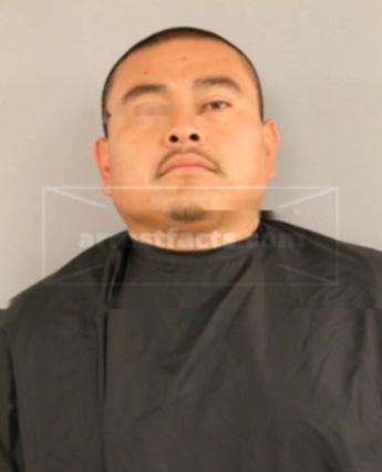 Luis C Perez-Martinez