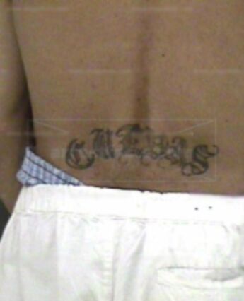 David O Cuevas