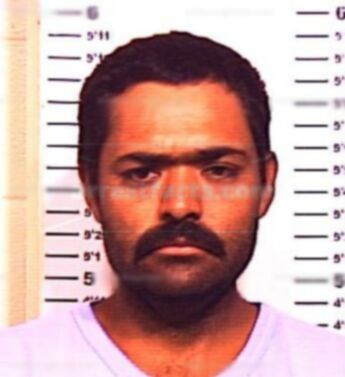 Hector Delgado Castoreana