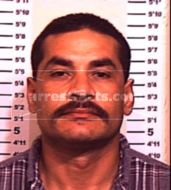Albert Herrera Carrasco