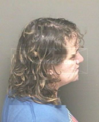 Lori Ann Heil