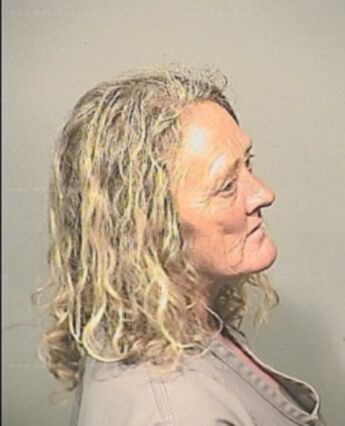 Vicki Lynn Conner