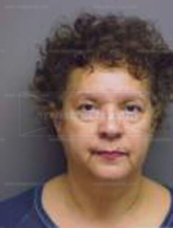 Diane A Sanders