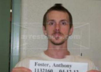 Anthony M Foster