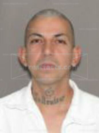 Joey Alfonso Dominguez