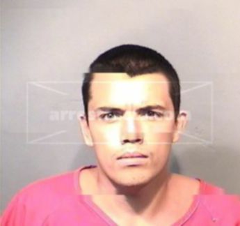 Andrew M Oppedisano