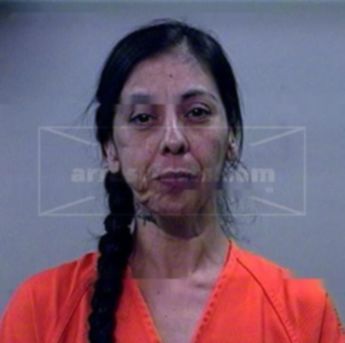 Michelle Villanueva Sallins