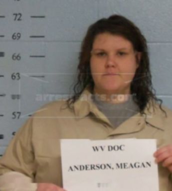 Meagan L Anderson