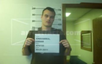 Cedar Chavarria