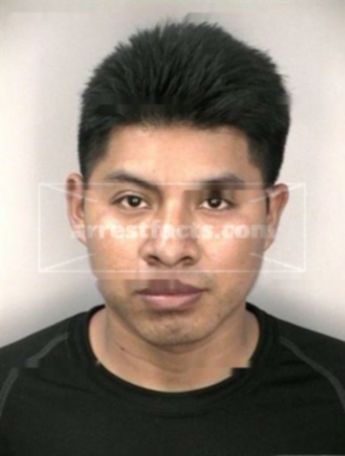 Sebastian Vasquezperez