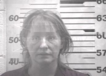 Virginia Elaine Adams