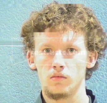 Tyler L. Mcanally