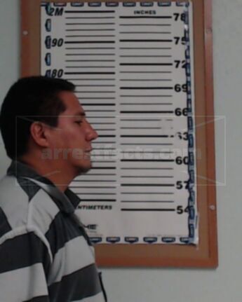 Luis Alvarado-Gonzalez