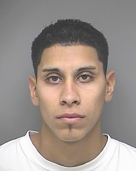 Francisco Serjio Amaya