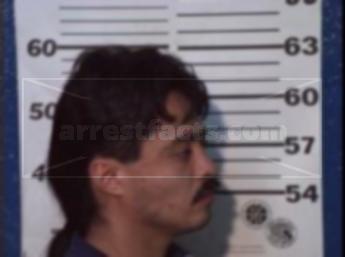 Mauricio Ramirez Perez