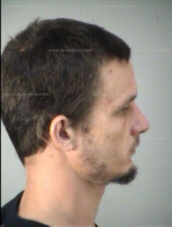 Nicholas Lynn Mcdonald