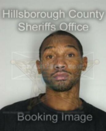 Steven Fawkes Denson