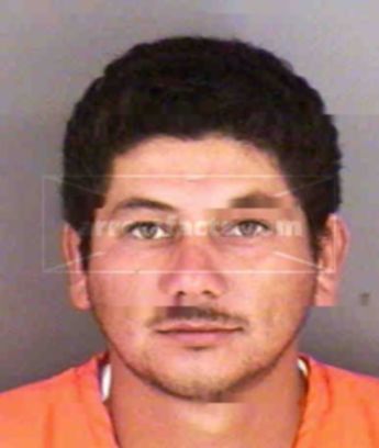 Pedro Molina Martinez