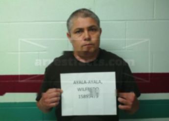 Wilfredo Ayala-Ayala