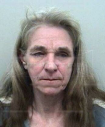 Mary Louise Woods