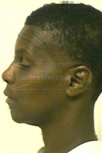 Tracey Katinia Searcy