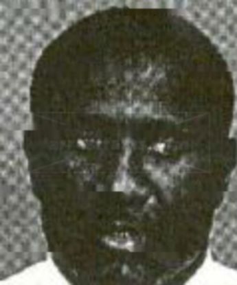 Haze Joseph Rose