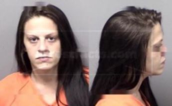 Sara Evelyn Brandon