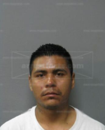 Nestor Hernandez-Trejo