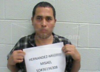 Misael Hernandez-Madrid